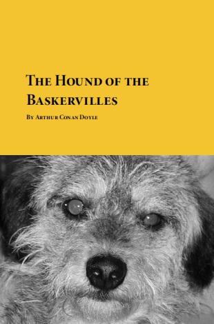 Обложка книги The Hound of Baskerville