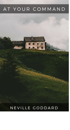 Обложка книги At Your Command