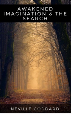 Обложка книги Awakened Imagination The Search