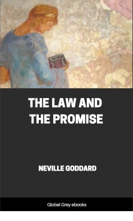 Обложка книги Law Of Promise