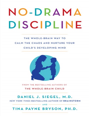 Обложка книги No Drama Discipline