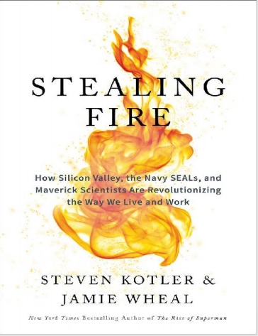 Обложка книги Stealing fire