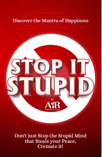 Обложка книги STOP IT STUPID